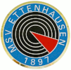 MSV Logo